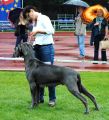 ZORKA 2,5 yers